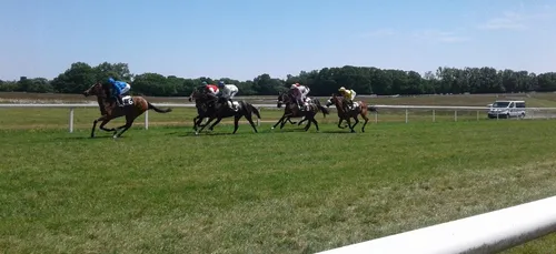Hippisme : Nos préférés pour ce dimanche 25 octobre