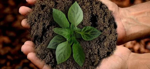 Environnement : des agriculteurs mayennais planchent sur le...