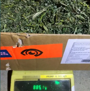 Les Hauts d'Anjou. Victime d'un cambriolage, l'habitant devient...