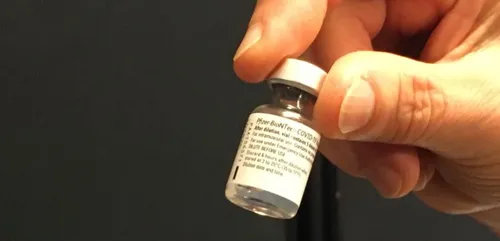 Segré-en-Anjou-Bleu. Comment se faire vacciner au centre du parc...