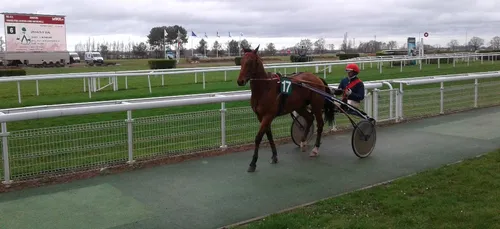 Hippisme : Nos préférés pour ce samedi 16 janvier