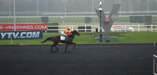 Hippisme : Nos préférés pour ce dimanche 24 janvier