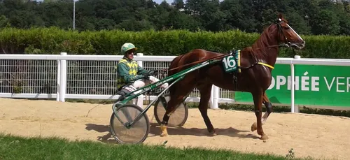 Hippisme : Nos préférés pour ce samedi 30 janvier