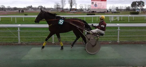 Hippisme : Nos préférés pour ce samedi 6 fevrier