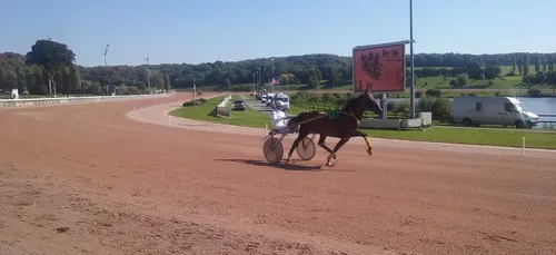 Hippisme : Nos préférés pour ce samedi 13 février