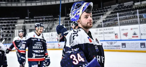 Hockey sur glace. Ligue Magnus: les Ducs D'Angers veulent...