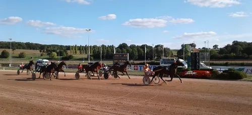 Hippisme : Nos préférés pour ce samedi 20 février