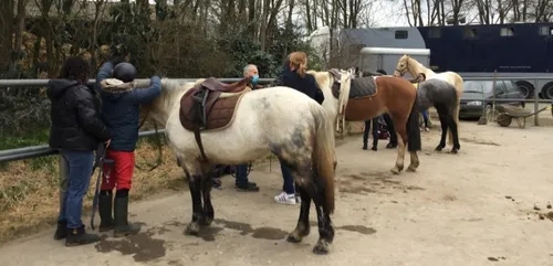 En Mayenne, des séances d'équitation pour des personnes en...