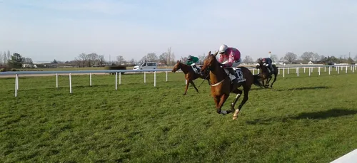 Hippisme : Nos préférés pour ce samedi 6 mars