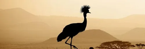 Réouverture du zoo d'Amiens