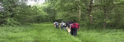 Randonnées dans le Douaisis : un choix infini