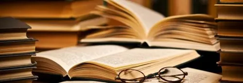 Une bibliothèque éphémère à Lille Flandres