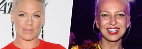 Sia en duo avec P!nk