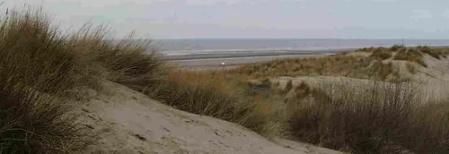 Opération de déminage au Touquet pour détruire six pieux "Rommel"