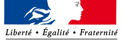 Tout change pour les cartes grises et les permis.