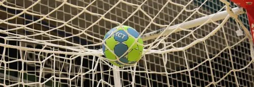 L'EQUIPE DE FRANCE DE HANDBALL CHAMPIONNE DU MONDE