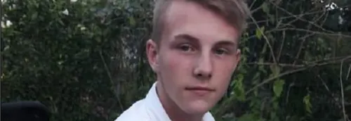 AVEZ-VOUS VU ALEXIS?