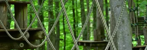 Des parcours accrobranches bientôt à Lille