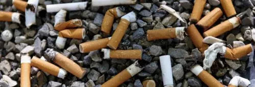 Mégots jetés par terre : les amendes vont tomber à Lille