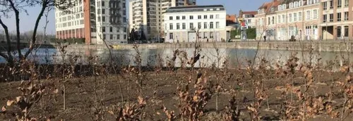 Finie la pelouse au Quai du Wault