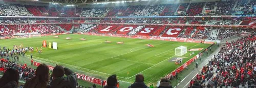 Les supporters du LOSC appellent à l’union sacrée