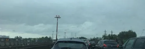 Fermeture de la bretelle d'accès Ravennes-les-Francs vers Lille...