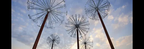 Les pissenlits du périphériques sont en train d'être démontés