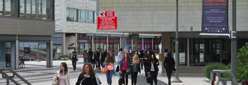 Lille, l'une des villes étudiantes les plus chères.