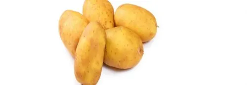 Le prix des pommes de terres en hausse cet hiver dans le Nord