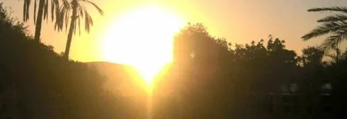 L'association ADN Passion organise des réveillons solidaires