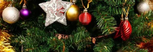 Que faire de son sapin après les fêtes?