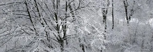 Reprise des bus scolaires ce jeudi dans le Nord Pas-de-Calais (mais...