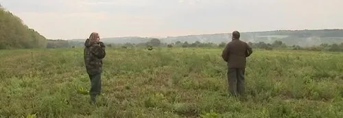 Picardie : une biche égorgée devant des élèves de primaire