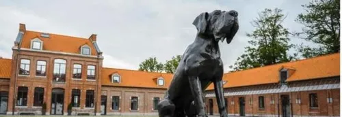 Le LOSC ouvre son entrainement au public ce vendredi