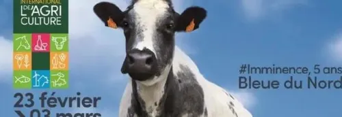 La vache égérie du Salon de l'Agriculture élevée dans le Nord