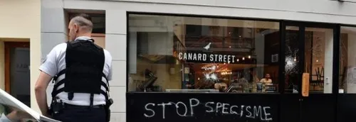 Lille: le procès de quatre militants vegans ce mardi après-midi