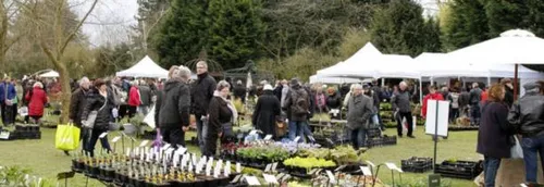 Locon: la fête des plantes se poursuit ce dimanche