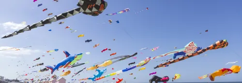 Coup d'envoi du festival de cerfs-volants !