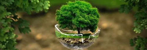 Des nordistes recherchés pour participer à une émission sur la...