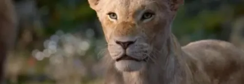 Le Roi Lion : un nouveau teaser centré sur Beyonce