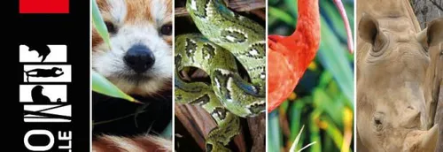 Des ateliers pour les enfants au zoo de Lille