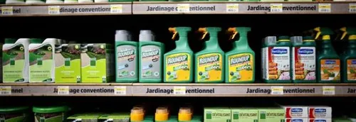 Lille interdit à son tour l'utilisation des pesticides