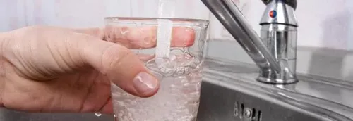 Sécheresse : la Mel recommande de ne pas donner d'eau du robinet...