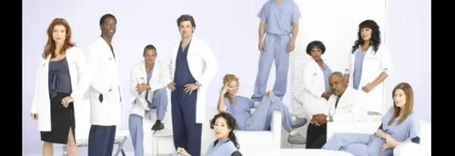 "Grey's Anatomy": la saison 16 s'arrête plus tôt à cause du...