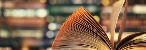 Des click & collect lancés par la bibliothèque de Lille