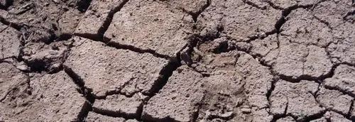 Le département du Nord en alerte sécheresse