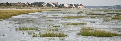 Bientôt un parc naturel régional en baie de Somme-Picardie