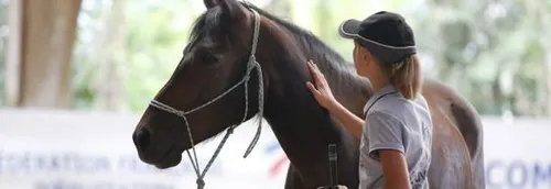 Au mois de septembre, découvrez l'équitation dans la région
