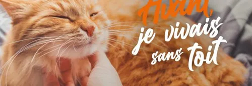 Nouvelle campagne d'adoption dans les SPA