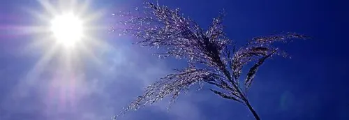 Le Nord en vigilance jaune canicule ce mardi